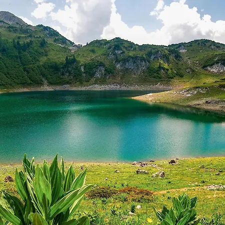 Bezauberndes Ferienhaus-dalaas 別荘